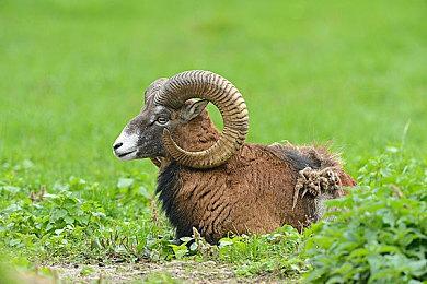  悬疑冒险游戏《天之少女》Steam页面开放 发售日待定