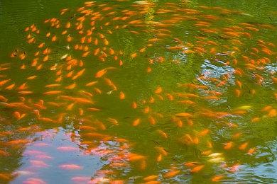 育碧斯德哥尔摩目前致力于开发全新动作在线游戏